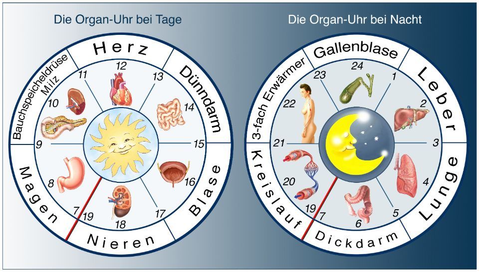 Naturheilpraxis Natürlich Pulsmessgerät